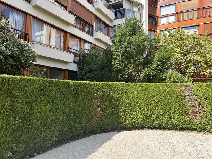 Jardin en copropriété — avant / après
