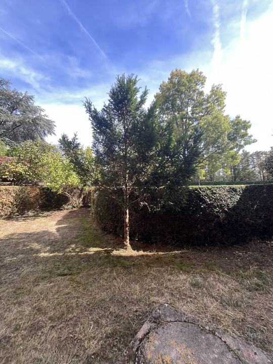 Jardin en copropriété — Après