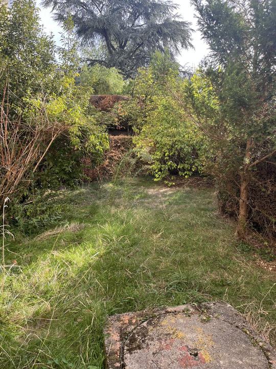 Jardin en copropriété — Avant