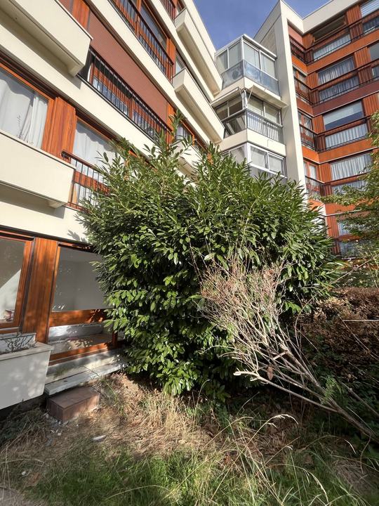 Jardin en copropriété — Avant